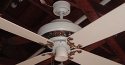 Emerson Casablanca Classic Ceiling Fan Model CF 529