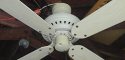 Emerson Casablanca Designer Series Ceiling Fan Model CF2036 W