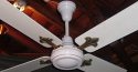 Encon - Crompton Greaves Ceiling Fans Model 1200mm