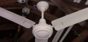 Encon - Crompton Greaves Ceiling Fan Model 1050mm 3B