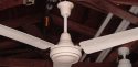 Encon - Crompton Greaves Ceiling Fan Model 1400mm 3B