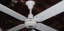 Envirofan Ceiling Fan Model 448-N