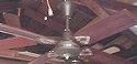 Evergo Ceiling Fan Model 4E-3LW