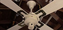 Evergo Ceiling Fan Model 4E-3LWSBS