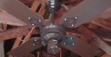 Evergo Ceiling Fan Model 4E-2LW P3S