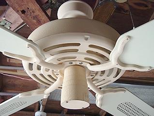 Evergo Ceiling Fan Model E 8b Banana Fan