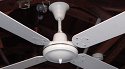 Fan King - Fair Fan FTY. LTD. 52 Inch Ceiling Fan