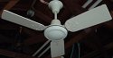 Golden Fan Electric 36 Inch Three Wood Blade Ceiling Fan
