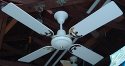 Moss Tropical Breeze/Golden Fan Electric Ceiling Fan Model TFP-348