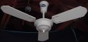 Kenroy (Moss Caribbean Breeze) Tropi-Cool Ceiling Fan