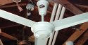 Moss Caribbean Breeze 36 Inch Metal Blade Ceiling Fan