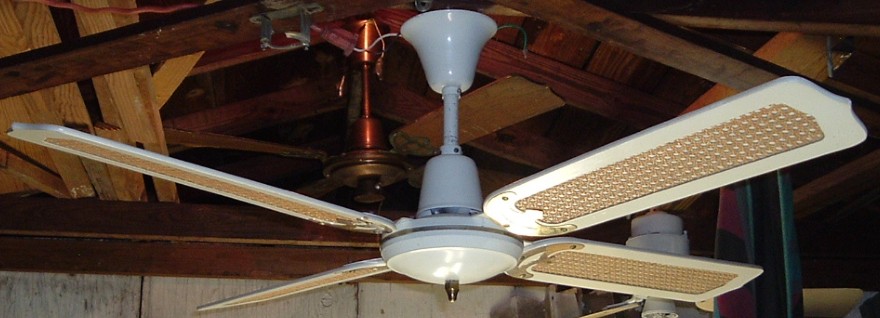 Moss Tropical Breeze Ceiling Fan Model N 101 C
