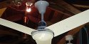 New Fan Manufactory Metal Blade Ceiling Fan Model N-101C