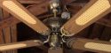 Saff Enterprise Mini Deville Ceiling Fan Model HA-42
