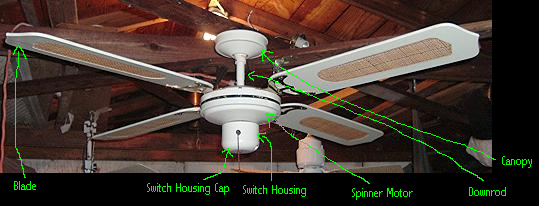Spinner Ceiling Fan With Switch Housing