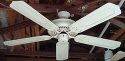 Gulf Coast Fans Geogianne White Five Blade Ceiling Fan