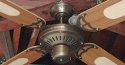 Gulf Coast Fans Showboat Ceiling Fan Model SL-505B052