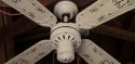 Toastmaster Coral Bay E Series E-36 Ceiling Fan