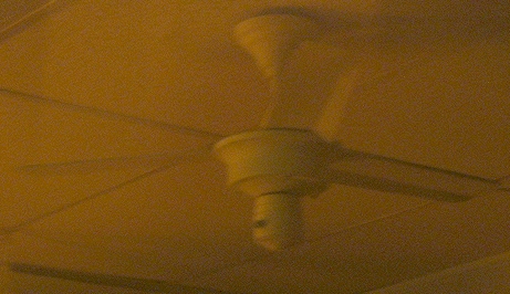 Toastmaster (Moss Caribbean Breeze) Ceiling Fan