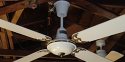 Windward Ceiling Fan Model CF4(W)