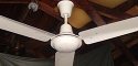 Wing Tat - Ganstir Incorporated 56 Inch Metal Blade Ceiling Fan