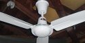 Wing Tat Metal Blade Ceiling Fan Model CFA6