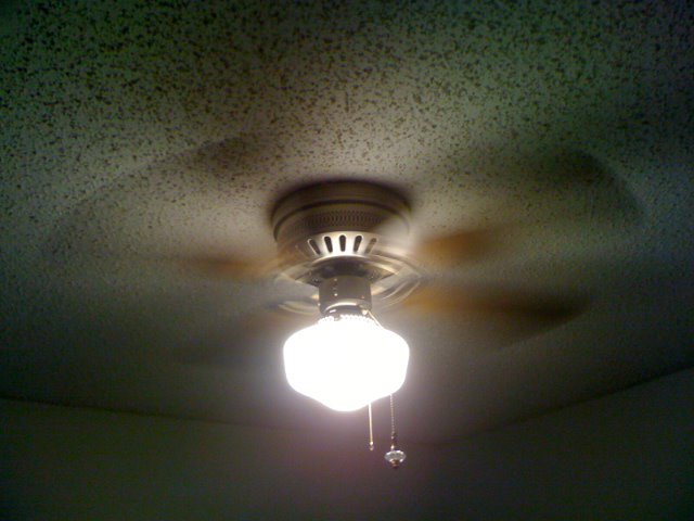 Encon Casanova Vcf Member Galleries