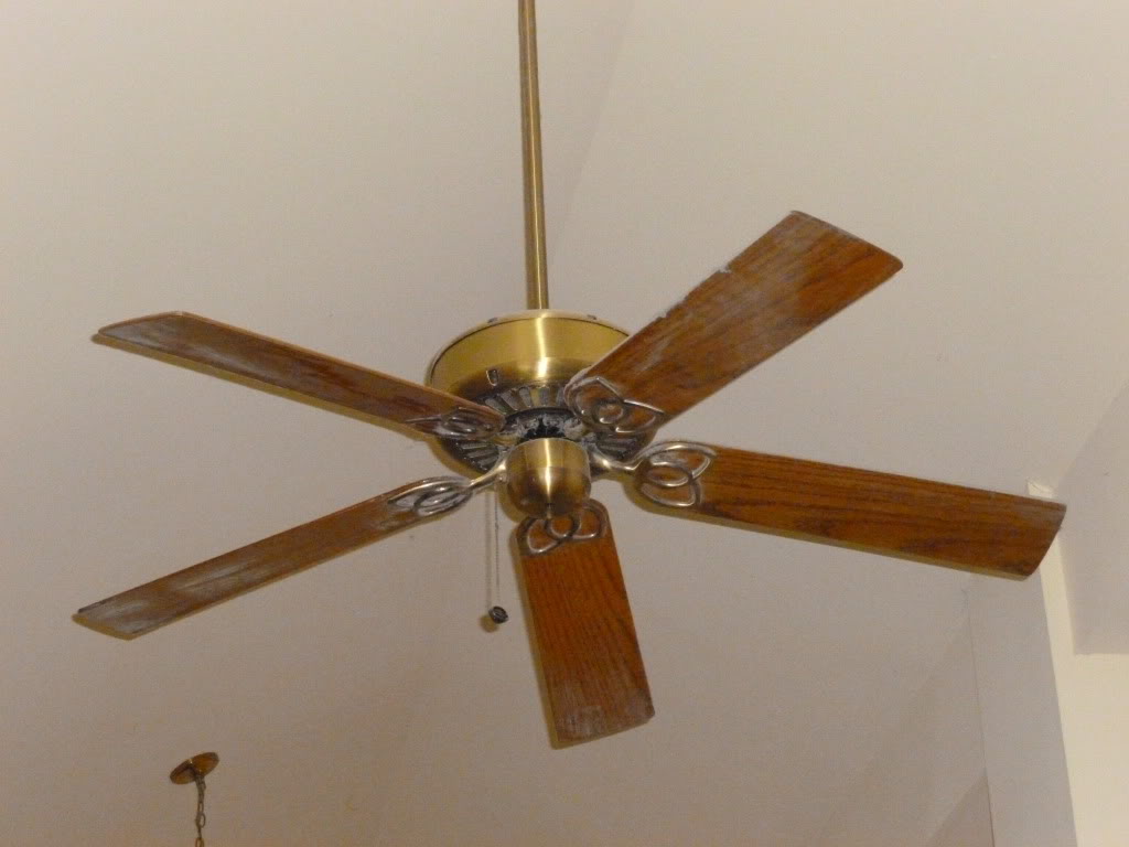 Gulf Coast Naples 52 Vcf Member Galleries